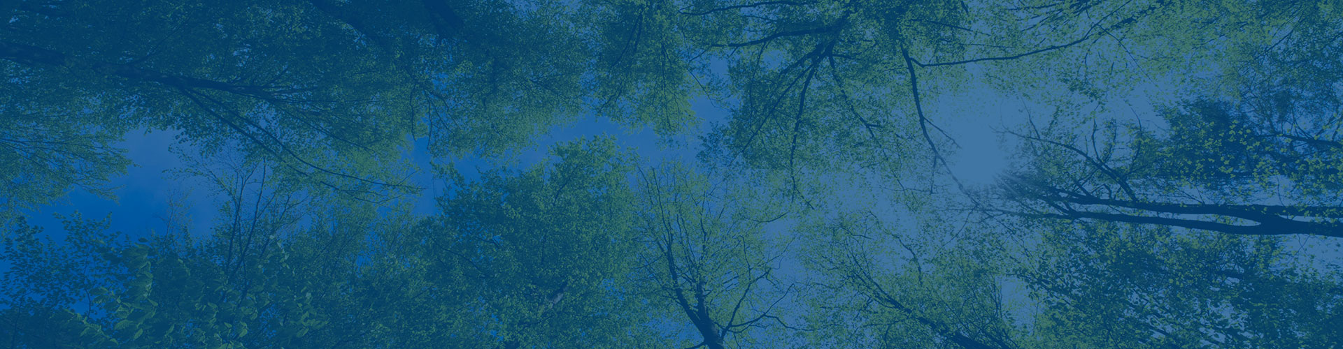 Sustentabilidade e Descarbonização